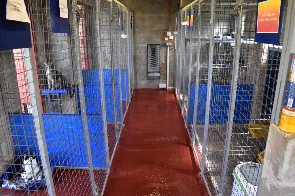 Cattery Interior