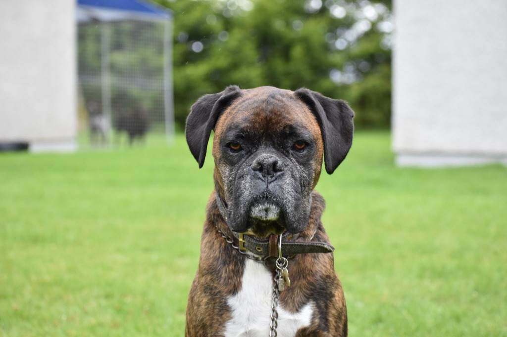 Garromuir Gallery Image