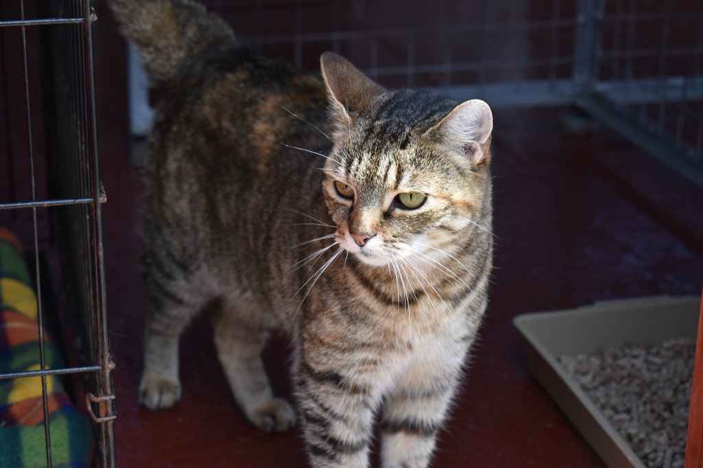 Garromuir Gallery Image