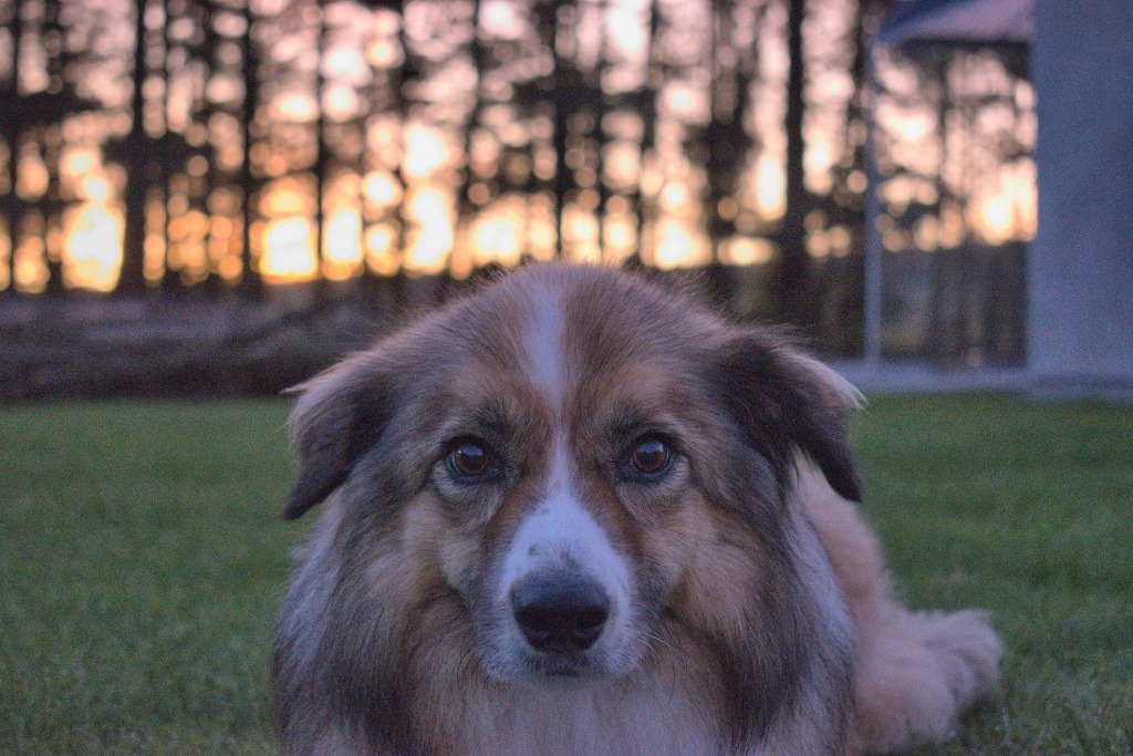 Garromuir Gallery Image