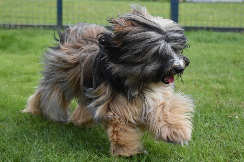 Garromuir Gallery Image