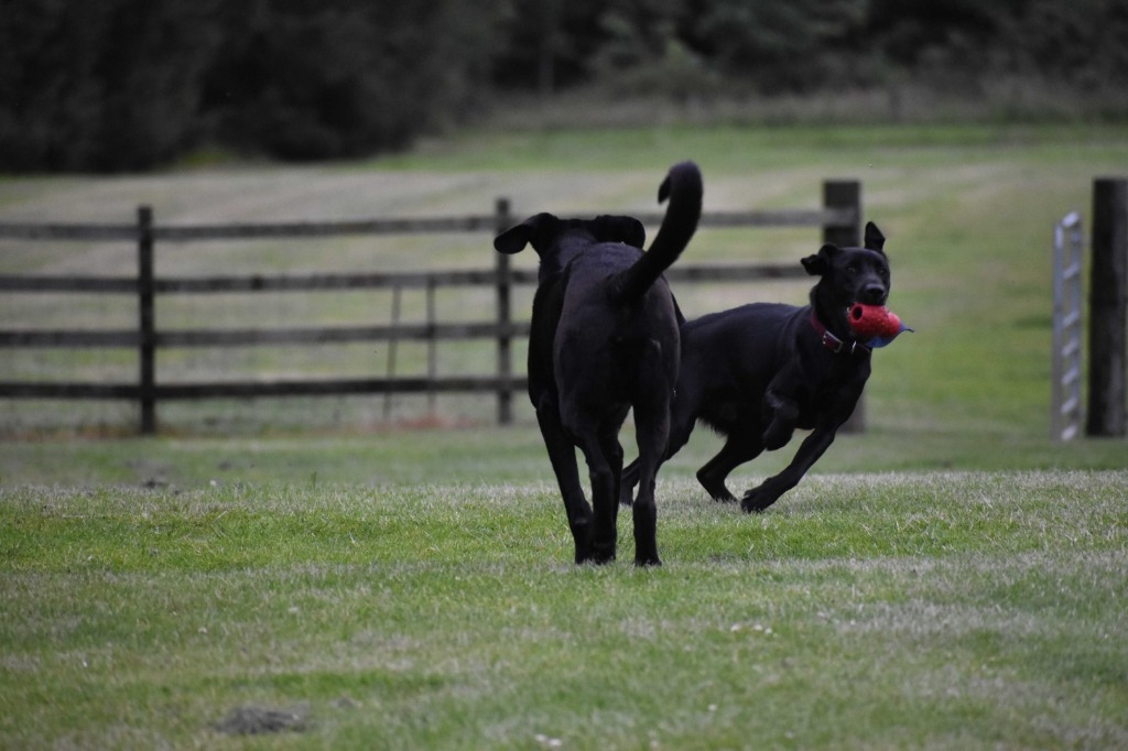 Garromuir Gallery Image