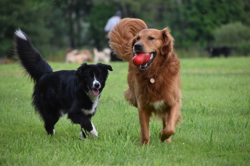 Garromuir Gallery Image