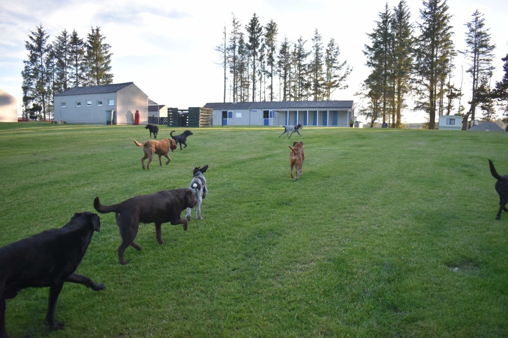 Garromuir Gallery Image