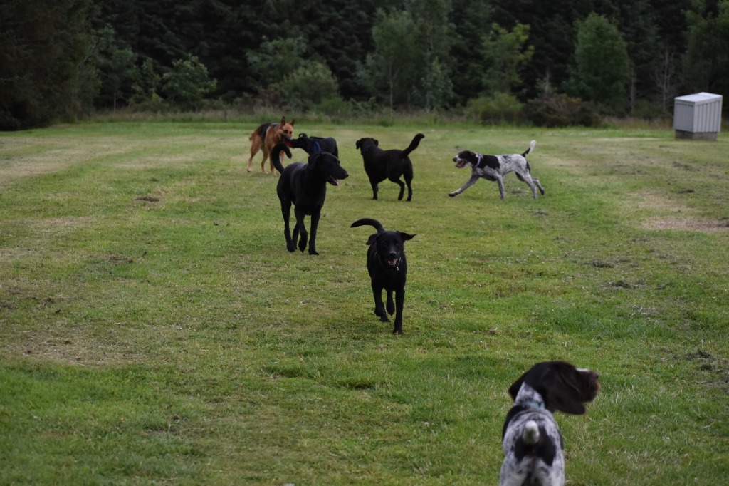 Garromuir Gallery Image