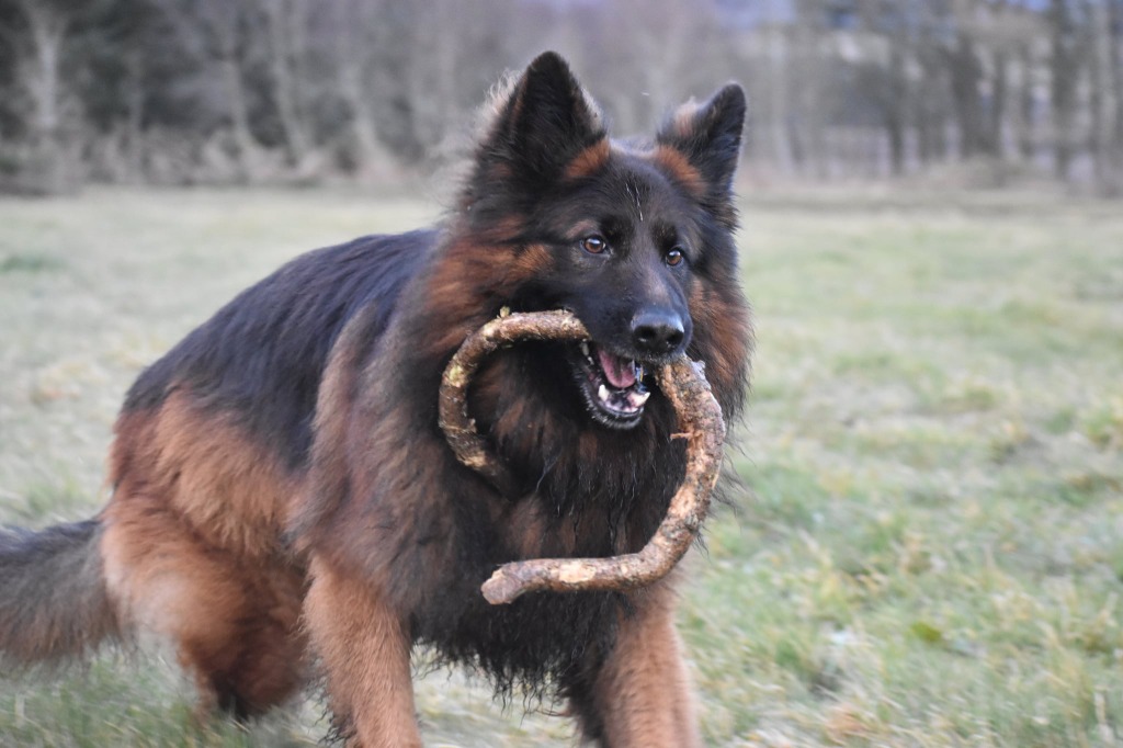 Garromuir Gallery Image